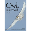 Owls in the Wild: A Visual Essay