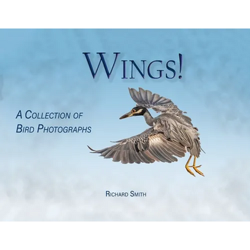 Wings! - Paperback