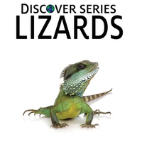 Lizards - Hardcover