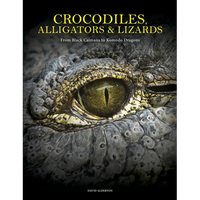 Crocodiles, Alligators & Lizards: From Black Caimans to Komodo Dragons - Hardcover