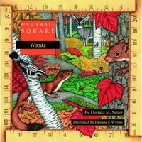 One Small Square: Woods - Paperback
