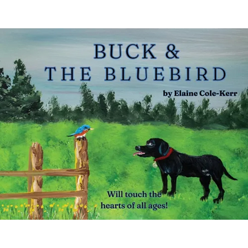 Buck and The Bluebird - Paperback