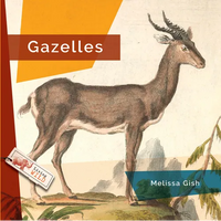 Gazelles - Paperback