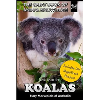 Koalas: Furry Marsupials of Australia - Paperback