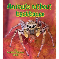 Animals Without Backbones - Paperback