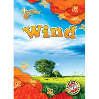 Wind - Paperback