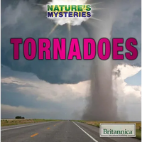 Tornadoes - Library Binding