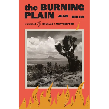 The Burning Plain - Paperback