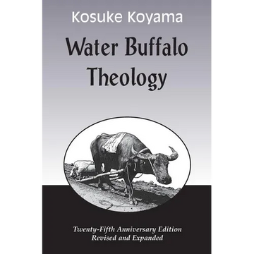 Water Buffalo Theology (Anniversary (Anniversary) - Paperback