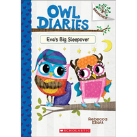 Eva's Big Sleepover - Hardcover