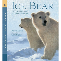 Ice Bear: In the Steps of the Polar Bear: Read and Wonder - Paperback
