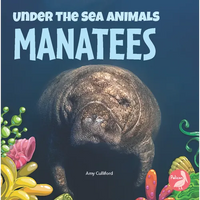 Manatees - Paperback