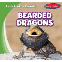 Bearded Dragons - Paperback