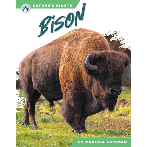Bison