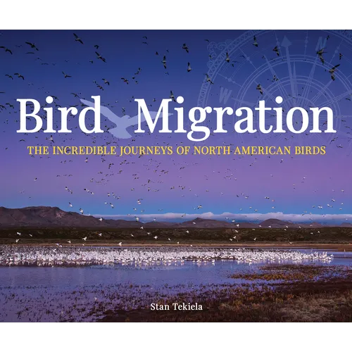 Bird Migration: The Incredible Journeys of North American Birds