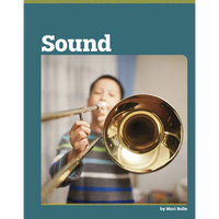 Sound - Library Binding