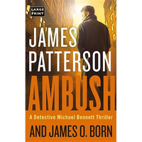 Ambush - Hardcover