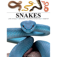 Snakes: From Vipers to Boa Constrictors - Paperback