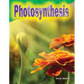 Photosynthesis