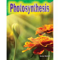 Photosynthesis - Paperback