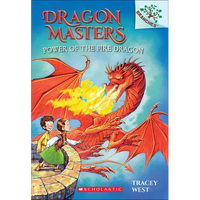 Power of the Fire Dragon - Hardcover