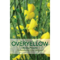 Overyellow: The Poem as Installation Art - Paperback
