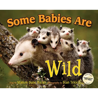 Some Babies Are Wild - Hardcover
