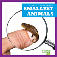 Smallest Animals - Paperback