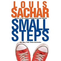 Small Steps - Paperback