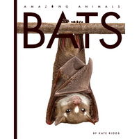 Bats - Library Binding