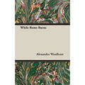 While Rome Burns