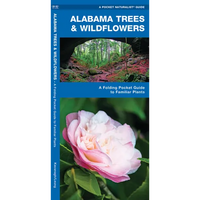 Alabama Trees & Wildflowers: A Folding Pocket Guide to Familiar Plants - Paperback