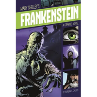Frankenstein: A Graphic Novel - Paperback