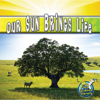 Our Sun Brings Life - Paperback