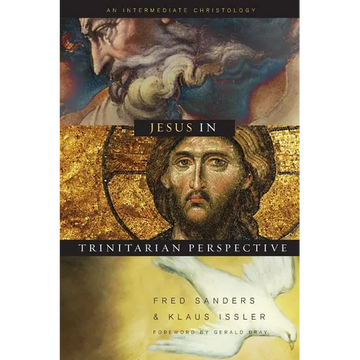 Jesus in Trinitarian Perspective: An Introductory Christology - Paperback