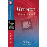 Hebrews: Beyond the Veil - Paperback