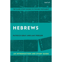 Hebrews: An Introduction and Study Guide - Hardcover