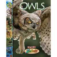 Owls - Library Binding