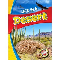 Life in a Desert - Paperback