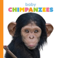 Baby Chimpanzees - Paperback