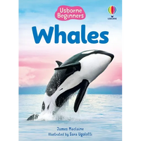 Beginners Whales - Paperback