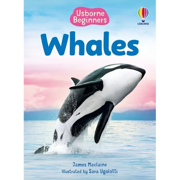 Beginners Whales - Paperback