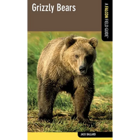 Grizzly Bears - Paperback