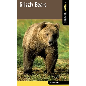 Grizzly Bears - Paperback