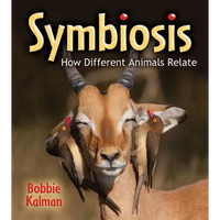 Symbiosis: How Different Animals Relate - Paperback