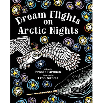 Dream Flights on Arctic Nights - Paperback