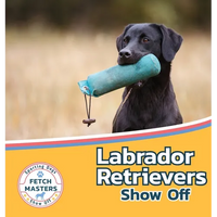 Labrador Retrievers Show Off - Hardcover