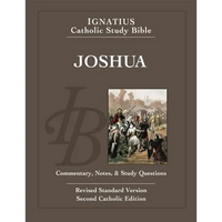 Joshua - Paperback