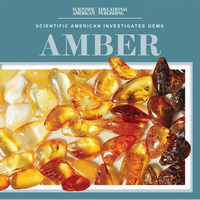 Amber - Library Binding