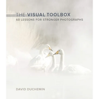 The Visual Toolbox: 60 Lessons for Stronger Photographs - Paperback